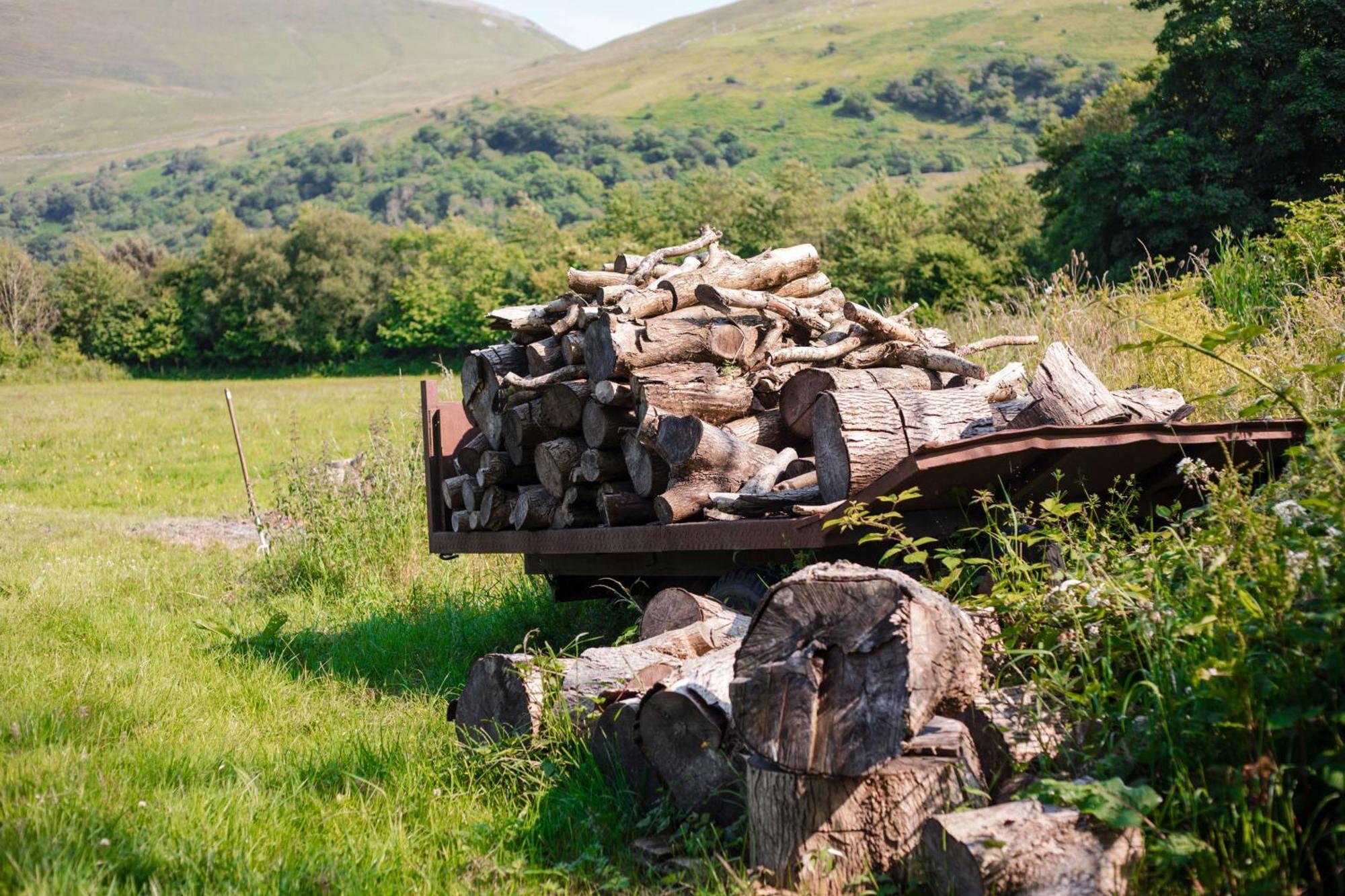 Trigonos - Quiet, Peaceful, Vegetarian B&B And Retreat Centre Nantlle Exteriör bild