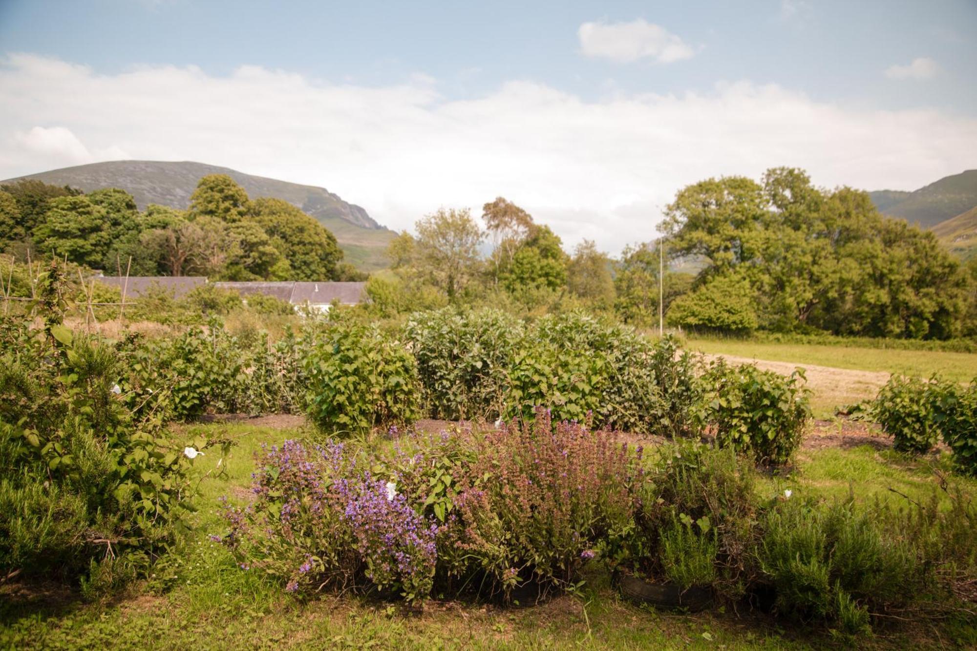 Trigonos - Quiet, Peaceful, Vegetarian B&B And Retreat Centre Nantlle Exteriör bild