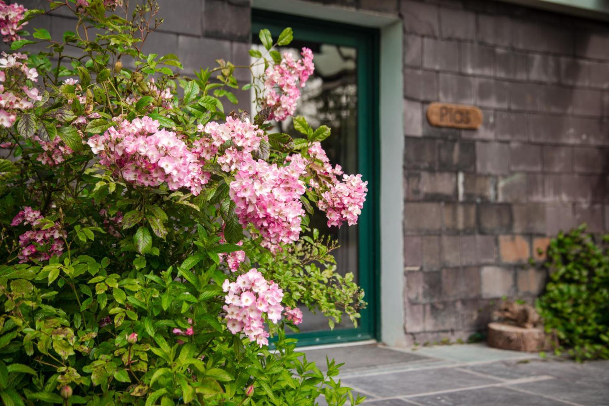 Trigonos - Quiet, Peaceful, Vegetarian B&B And Retreat Centre Nantlle Exteriör bild