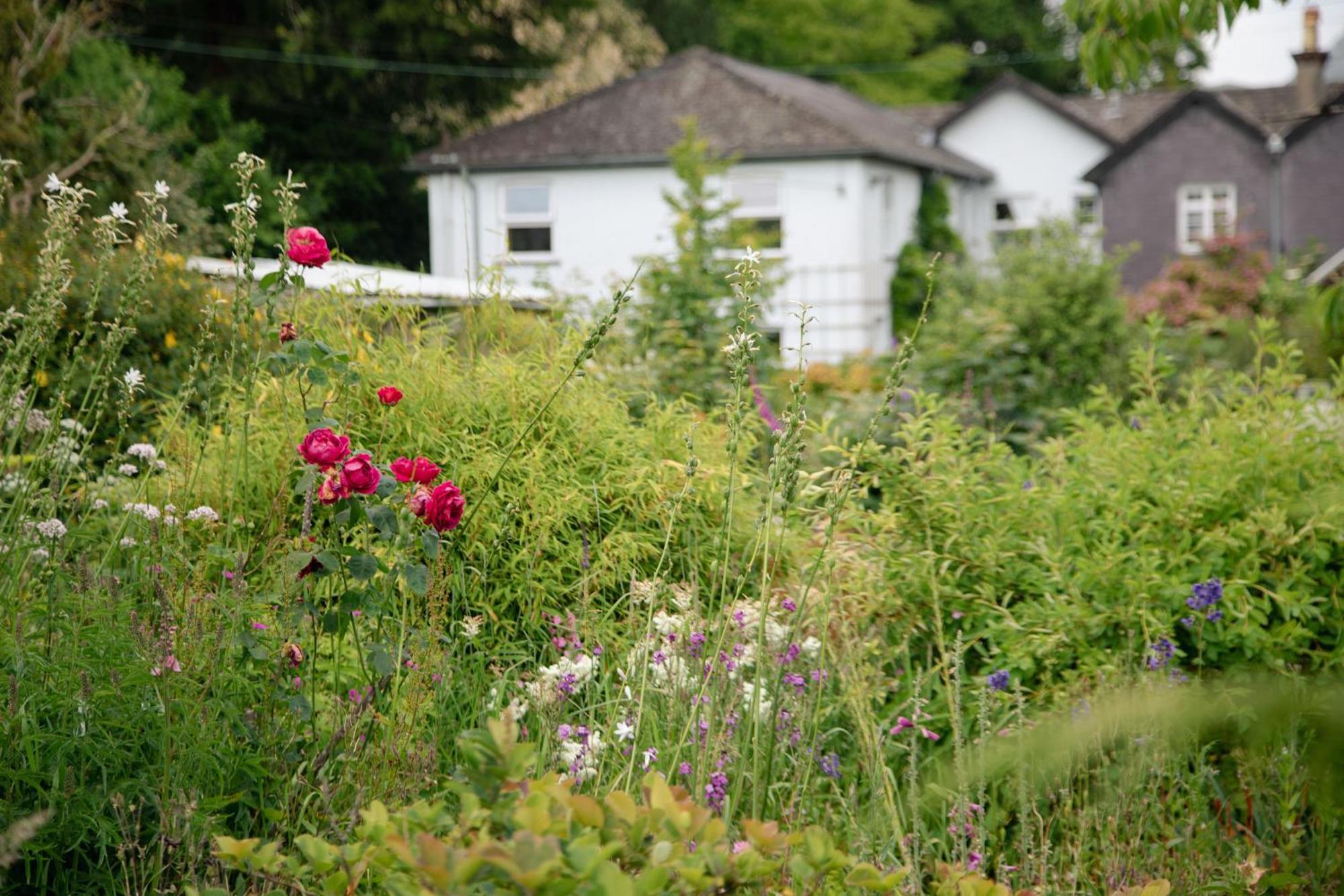Trigonos - Quiet, Peaceful, Vegetarian B&B And Retreat Centre Nantlle Exteriör bild