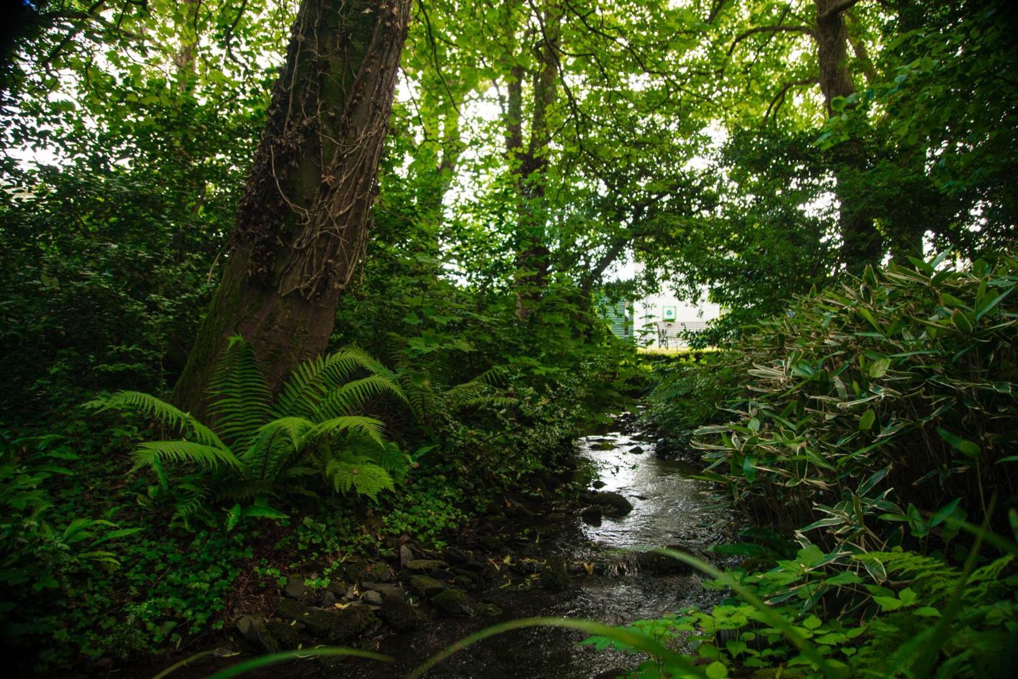 Trigonos - Quiet, Peaceful, Vegetarian B&B And Retreat Centre Nantlle Exteriör bild