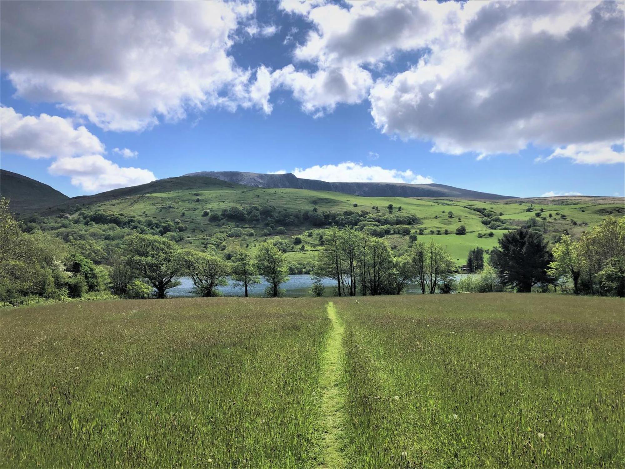 Trigonos - Quiet, Peaceful, Vegetarian B&B And Retreat Centre Nantlle Exteriör bild